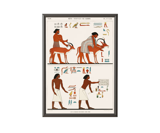 Nevothph's tomb by Jean François Champollion - Get Instant Art